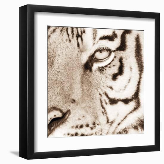 Tiger Pattern-Frank & Susann Parker-Framed Art Print