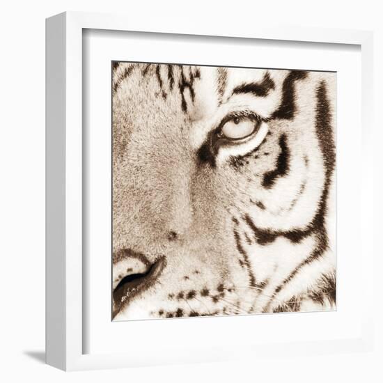 Tiger Pattern-Frank & Susann Parker-Framed Art Print