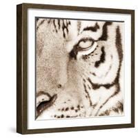 Tiger Pattern-Frank & Susann Parker-Framed Art Print