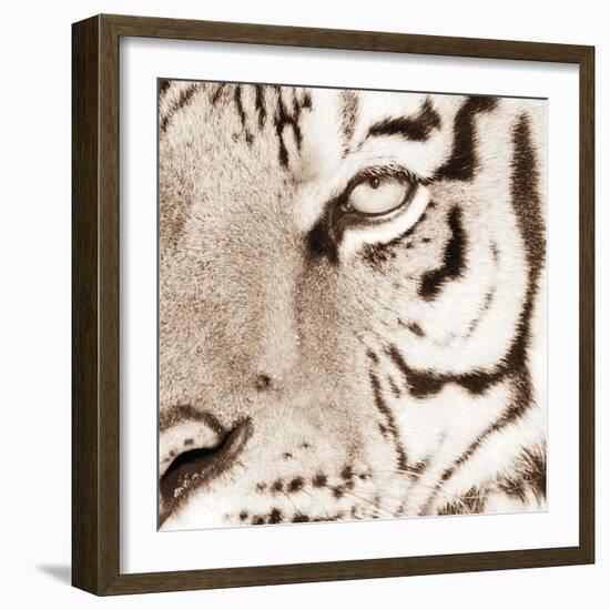 Tiger Pattern-Frank & Susann Parker-Framed Art Print