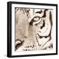 Tiger Pattern-Frank & Susann Parker-Framed Art Print