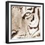 Tiger Pattern-Frank & Susann Parker-Framed Art Print