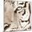 Tiger Pattern-Frank & Susann Parker-Mounted Art Print