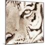 Tiger Pattern-Frank & Susann Parker-Mounted Art Print