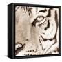 Tiger Pattern-Frank & Susann Parker-Framed Stretched Canvas