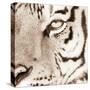 Tiger Pattern-Frank & Susann Parker-Stretched Canvas