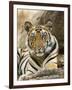 Tiger Portrait Bandhavgarh National Park, India 2007-Tony Heald-Framed Premium Photographic Print