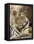 Tiger Portrait Bandhavgarh National Park, India 2007-Tony Heald-Framed Stretched Canvas