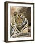 Tiger Portrait Bandhavgarh National Park, India 2007-Tony Heald-Framed Photographic Print