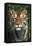 Tiger Portrait by Bamboo Leaves (Captive Animal)-Lynn M^ Stone-Framed Stretched Canvas