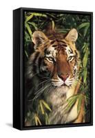 Tiger Portrait by Bamboo Leaves (Captive Animal)-Lynn M^ Stone-Framed Stretched Canvas