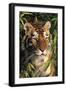 Tiger Portrait by Bamboo Leaves (Captive Animal)-Lynn M^ Stone-Framed Premium Photographic Print