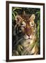 Tiger Portrait by Bamboo Leaves (Captive Animal)-Lynn M^ Stone-Framed Premium Photographic Print