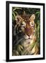 Tiger Portrait by Bamboo Leaves (Captive Animal)-Lynn M^ Stone-Framed Premium Photographic Print