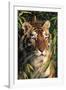 Tiger Portrait by Bamboo Leaves (Captive Animal)-Lynn M^ Stone-Framed Photographic Print