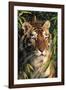 Tiger Portrait by Bamboo Leaves (Captive Animal)-Lynn M^ Stone-Framed Photographic Print