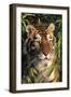 Tiger Portrait by Bamboo Leaves (Captive Animal)-Lynn M^ Stone-Framed Photographic Print