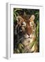 Tiger Portrait by Bamboo Leaves (Captive Animal)-Lynn M^ Stone-Framed Photographic Print