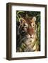 Tiger Portrait by Bamboo Leaves (Captive Animal)-Lynn M^ Stone-Framed Photographic Print