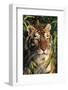 Tiger Portrait by Bamboo Leaves (Captive Animal)-Lynn M^ Stone-Framed Photographic Print