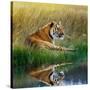 Tiger Relaxing on Grassy Bank with Reflection in Water-Svetlana Foote-Stretched Canvas