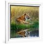 Tiger Relaxing on Grassy Bank with Reflection in Water-Svetlana Foote-Framed Premium Photographic Print