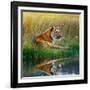 Tiger Relaxing on Grassy Bank with Reflection in Water-Svetlana Foote-Framed Premium Photographic Print