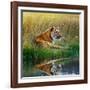 Tiger Relaxing on Grassy Bank with Reflection in Water-Svetlana Foote-Framed Premium Photographic Print