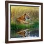 Tiger Relaxing on Grassy Bank with Reflection in Water-Svetlana Foote-Framed Photographic Print