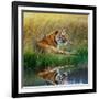 Tiger Relaxing on Grassy Bank with Reflection in Water-Svetlana Foote-Framed Photographic Print