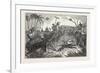 Tiger Retreating into the Jungle-null-Framed Giclee Print