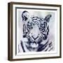 Tiger Roar-Sheldon Lewis-Framed Art Print