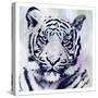 Tiger Roar-Sheldon Lewis-Stretched Canvas