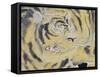 Tiger's Muzzle-null-Framed Stretched Canvas