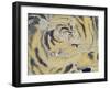 Tiger's Muzzle-null-Framed Giclee Print