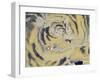 Tiger's Muzzle-null-Framed Giclee Print