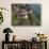 Tiger's Nest, Bhutan-Dennis Kirkland-Photographic Print displayed on a wall