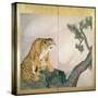 Tiger Screen, Japanese, 1781 (Ink, Colour and Gold on Paper)-Maruyama Okyo-Stretched Canvas