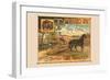 Tiger Self Operating Hay Rake-null-Framed Premium Giclee Print