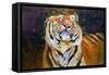 Tiger (Shaking Head) 1996-Odile Kidd-Framed Stretched Canvas