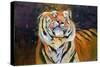 Tiger (Shaking Head) 1996-Odile Kidd-Stretched Canvas