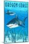Tiger Shark - Oregon Coast-Lantern Press-Mounted Art Print