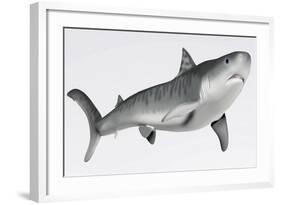 Tiger Shark Profile-null-Framed Art Print