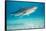 tiger shark swimming over sandy seabed, bahamas-david fleetham-Framed Stretched Canvas