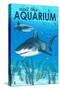 Tiger Shark - Visit the Aquarium-Lantern Press-Stretched Canvas
