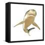 Tiger Shark-null-Framed Stretched Canvas