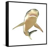 Tiger Shark-null-Framed Stretched Canvas