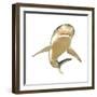 Tiger Shark-null-Framed Premium Giclee Print