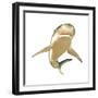 Tiger Shark-null-Framed Premium Giclee Print