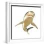 Tiger Shark-null-Framed Premium Giclee Print